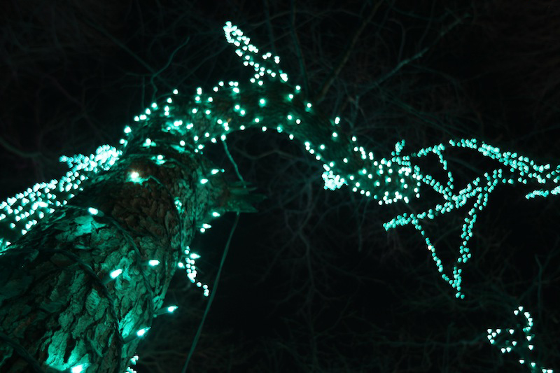 Illustration for article titled Photo Contest: Christmas Lights